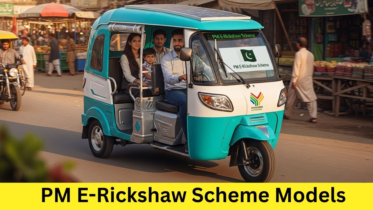 PM E-Rickshaw Scheme Models in Pakistan