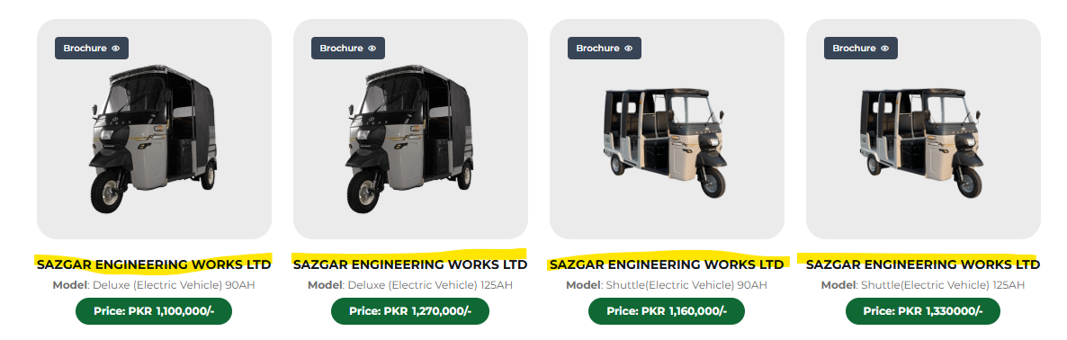 PM E-Rickshaw Scheme Models in Pakistan